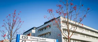 Bitar från makens kropp arkiverades i Uppsala