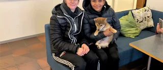 USA nästa för Janogy - oviss om klubbval
