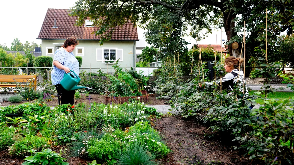 Blomsterträdgården är det första steget i omvandlingen av Mötesplats Johannes trädgård.