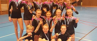 Fina insatser från gymnasterna