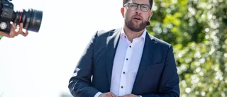 SD skapar rubriker vad de än gör