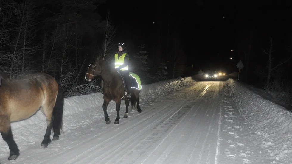 Matilda Mattsson rider på Corinne längs den enda ridvägen som finns vintertid och där bilar trafikerar en del av sträckan. 