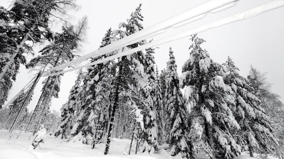 Under dagen väntas mulet väder med snöfall.