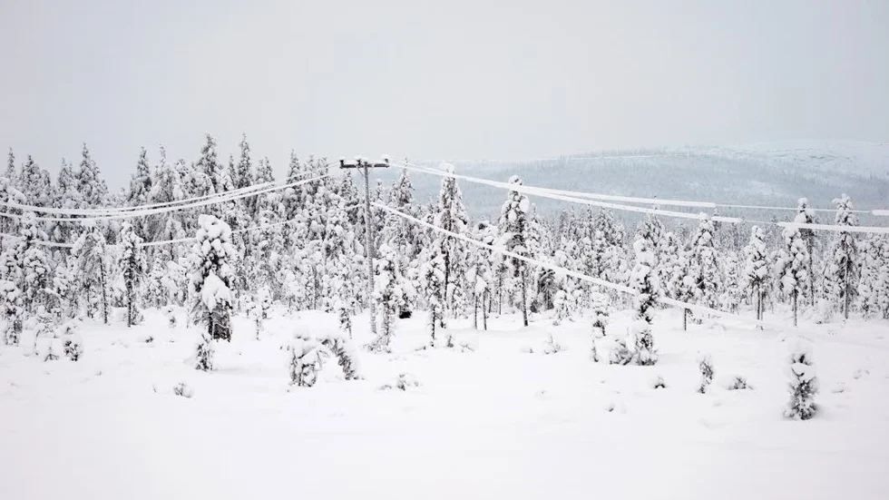 Här är dagens väder i Norrbotten.