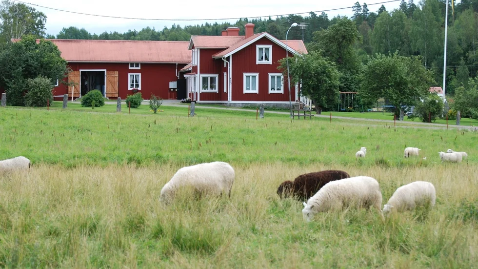 Motala kommer även i fortsättningen att dela i ett landsbygdsprojekt.