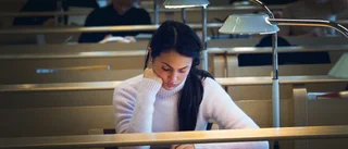 Här finns jobben efter högskolan