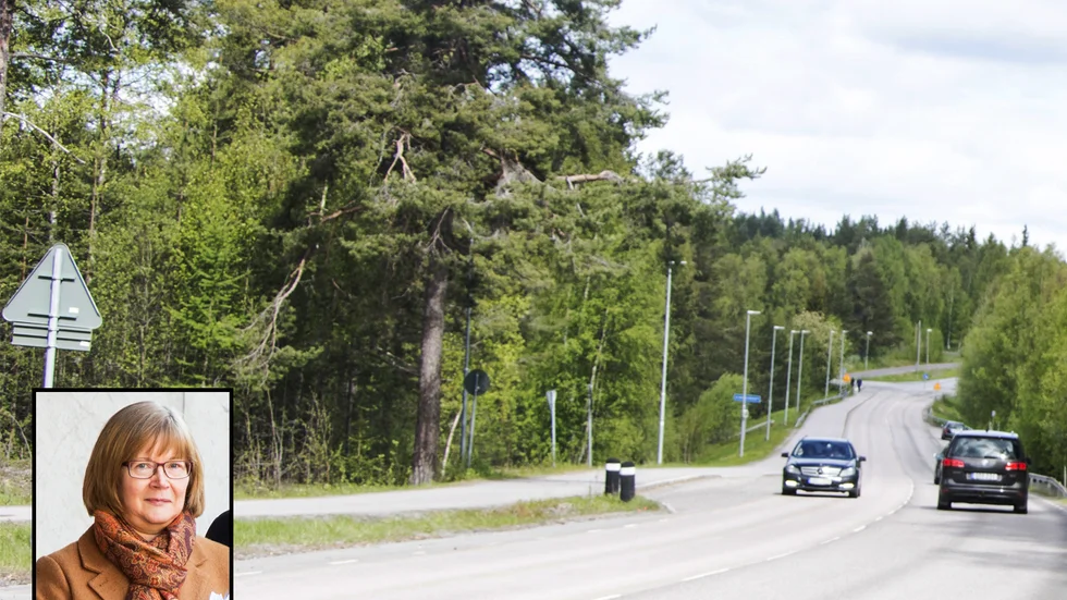 En chikan kan bli lösningen som sätter stopp för Sinksundsrallyt, enligt Ann Storvall.