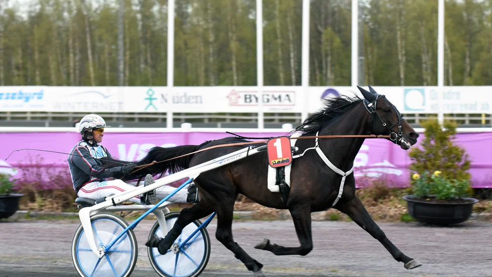 Makethemark stod inte att känna igen under påskdagens V75-tävlingar på Romme. Men det fanns en anledning.