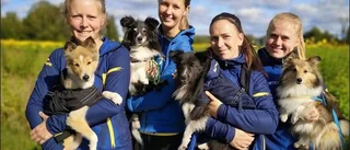 Härlig stämning på årets agility-VM