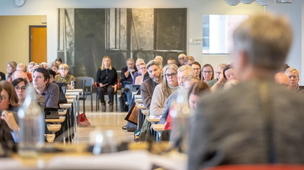 SD har sex platser i regionfullmäktige, men två av ledamöterna har valt att bli politiska vildar.