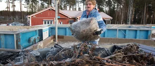 Snart kan du återvinna dygnet runt