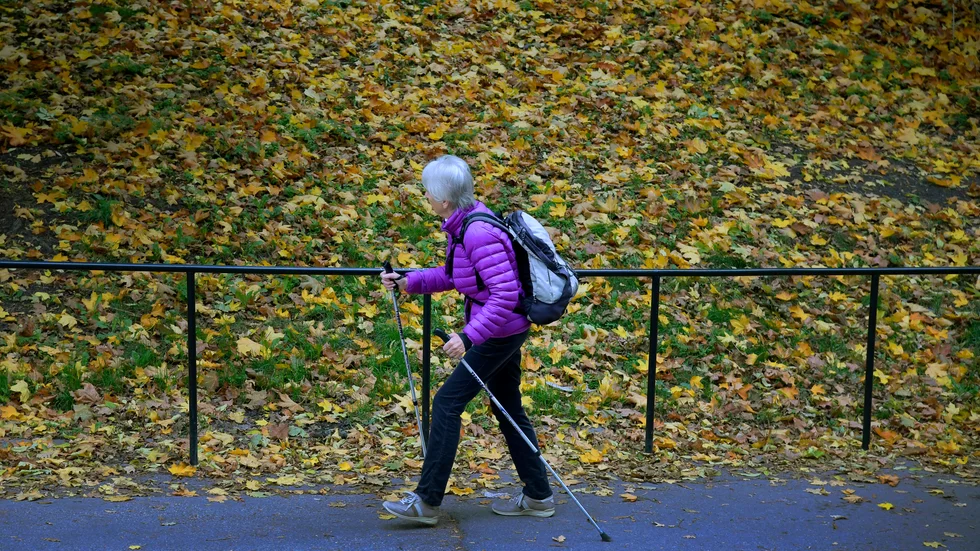 Deltagarantalet i Hälsoguide Boxholm har växt år för år sedan starten för tre år sedan.
