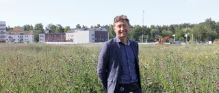 Kommunen sanerar tomt i Älvdansen
