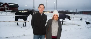 Bil körde av vägen – fastnade i villahäck