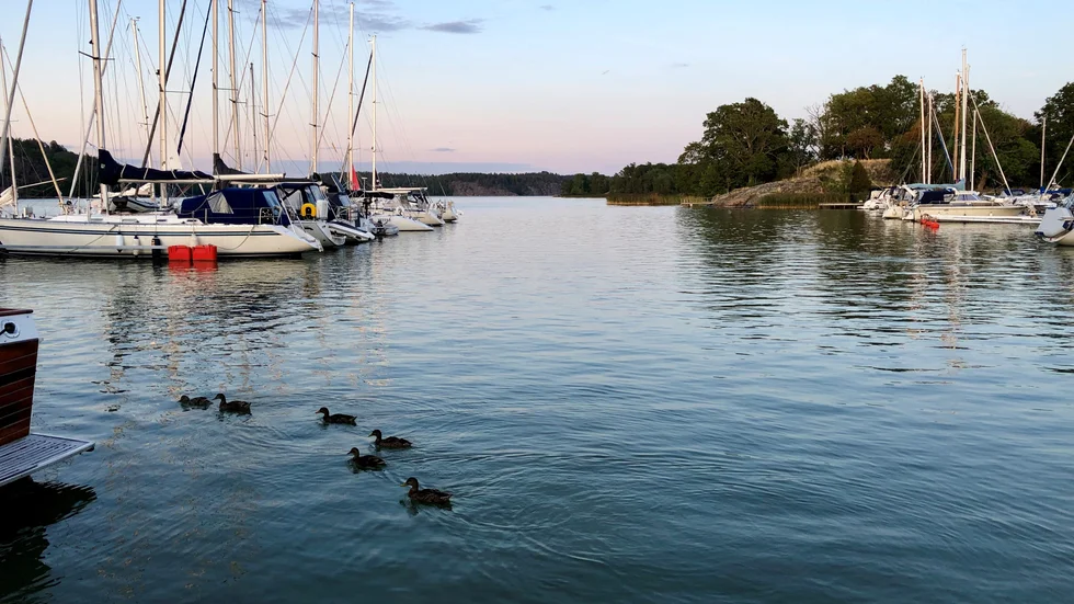 Hamnen i Stegeborg.
