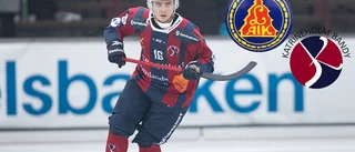 Stor potential för blinkersverkstad