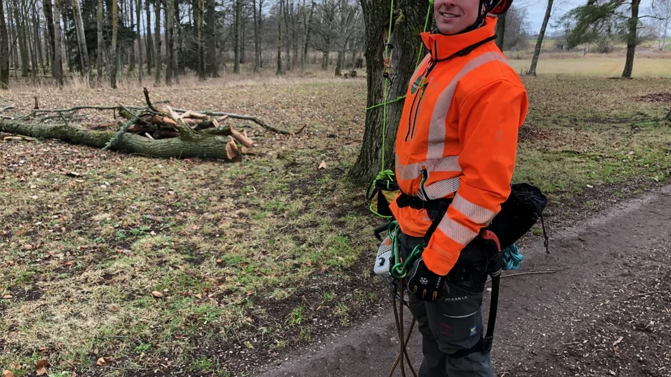 Arvid Fredriksson har bosatt sig i Vadstena igen och driver i dag eget företag som arborist.