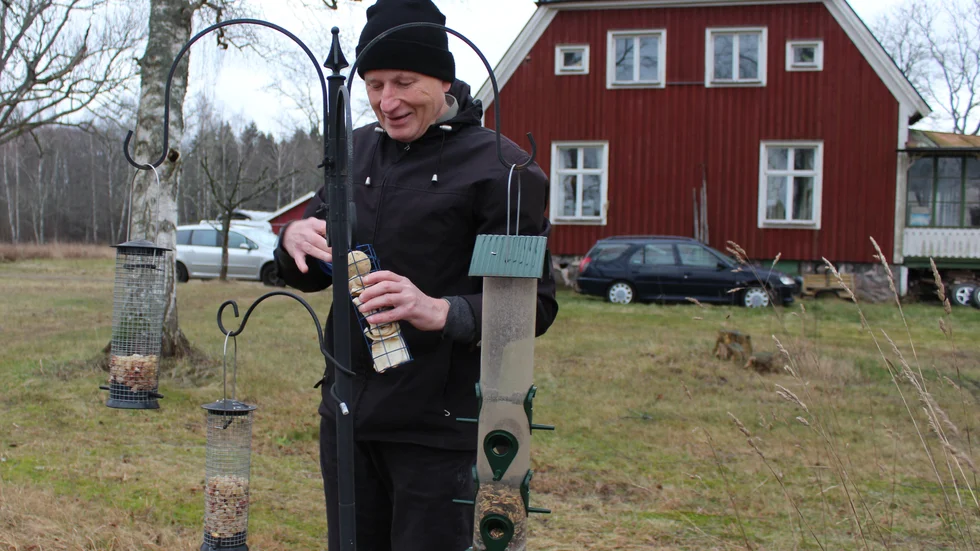 Leif Rosander fyller på med talgbollar och annat gott i matningen.