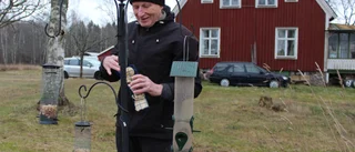 Snart dags att räkna sina vinterfåglar
