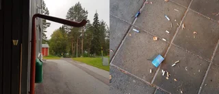 "Jag har aldrig skämts för min diabetes"