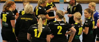 Ny torsk för decimerat Norrfjärden