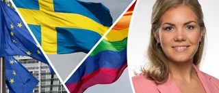 Flaggbråket i kommunen fortsätter 