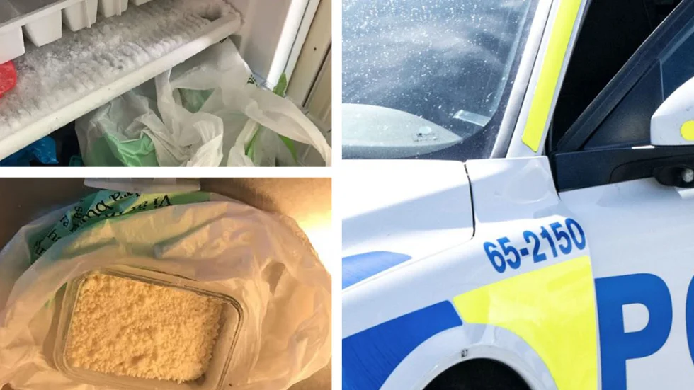 Polisen hittade stora mängder amfetamin i den 35-åriga kvinnans frys. 