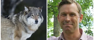 "Mycket har skett de senaste fem åren"