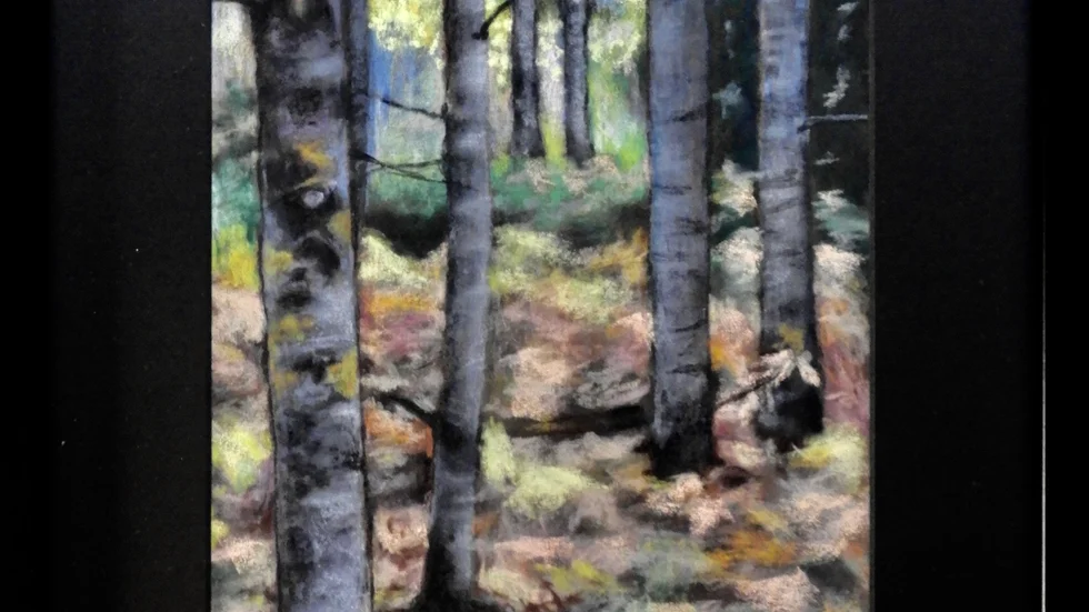  Höstskog, torrpastell, 43x57 cm