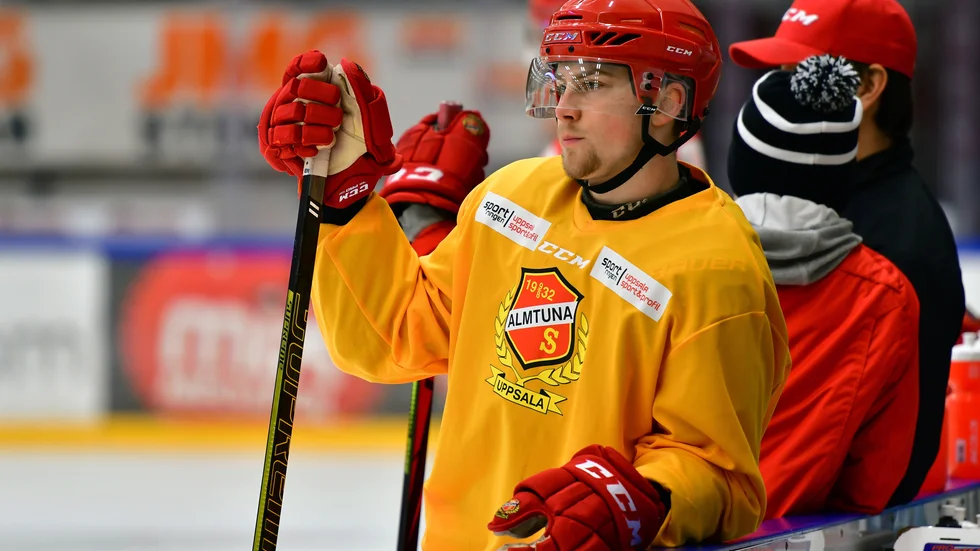 Hampus Harlestam.