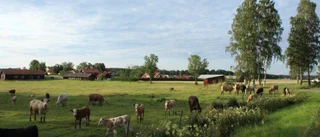 Motstånd mot nya byggplaner för Klinga