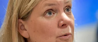 Regering i opposition mot sig själv