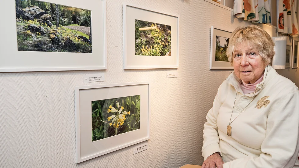 2017 visade Cläre Söderström Svensson sina naturfotografier på en uställning i Katrineholm. 