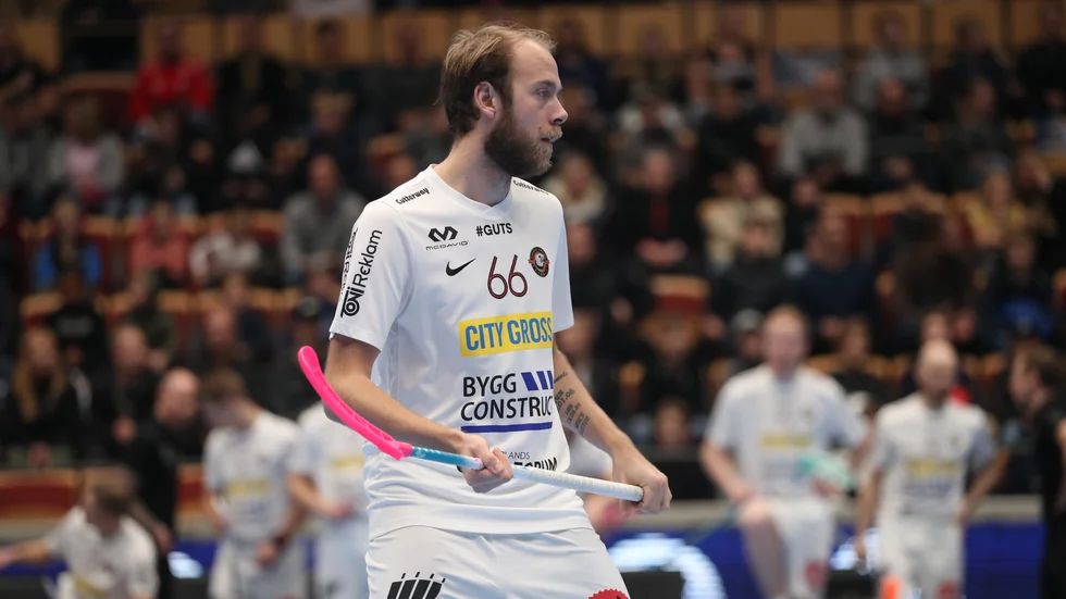 Gösta Brunell är eftersöksjägare på Vikbolandet där många av den senaste tidens viltolyckor skett.