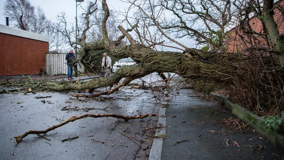SMHI går ut med en klass 1-varning för Östergötland söndag eftermiddag. Det väntas mycket hårda vindbyar. Bilden är däremot från Djupadal i Skåne den 15 december 2019.