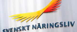 Svenskt Näringsliv får svar de gillar