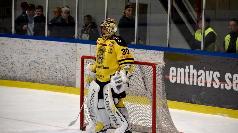 Vimmerby Hockey-målvakten Tomas Rydén var lagets bästa spelare i bortamatchen mot Dalen. Men till slut fick han släppa in en puck bakom sig.