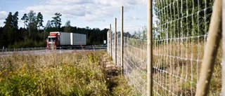 Inga spår efter stulet viltstängsel