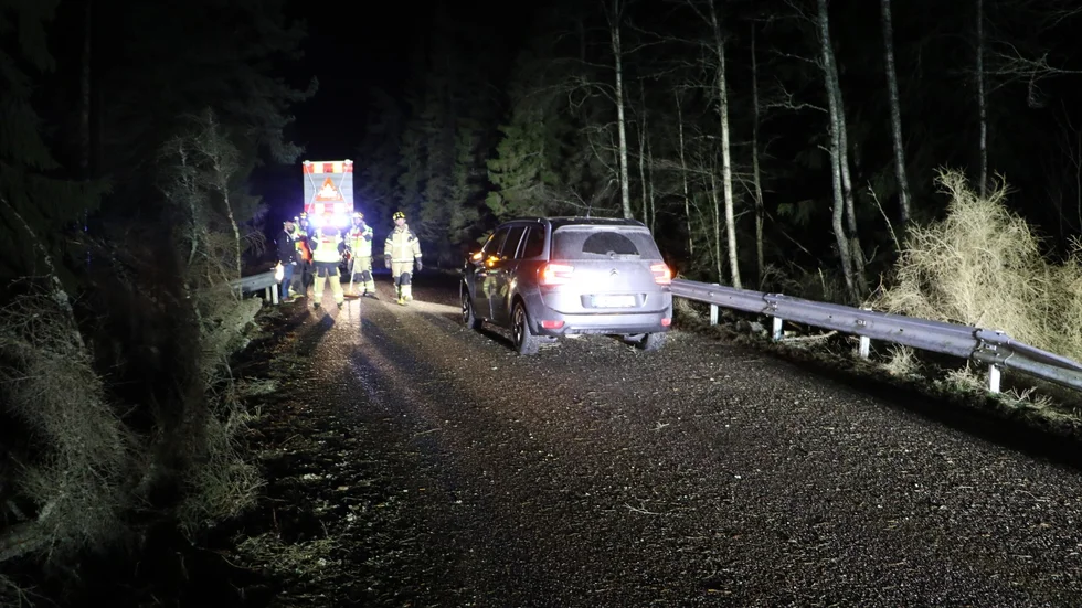 En bil med fem passagerare i körde in i ett nedfallet träd på väg 645 utanför Björklinge på söndagskvällen.