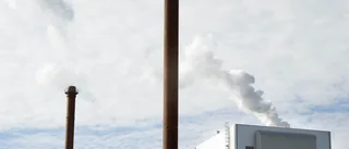 SCA rekryterar inför sommaren 