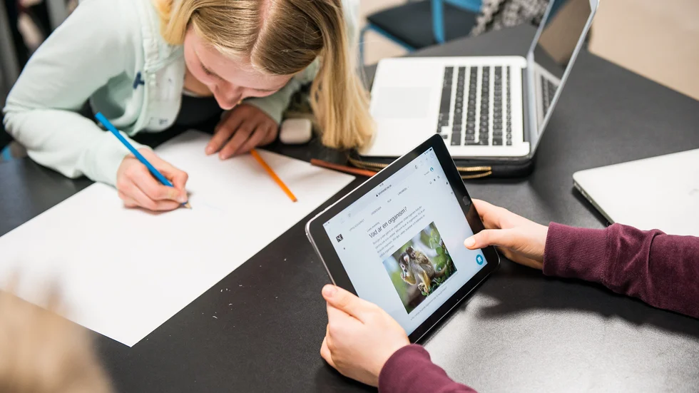 Nu ska alla elever som börjar f-klass och årskurs sju välja skola i Norrköping.