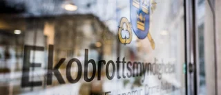 Känd näringslivsprofil åtalas för ekobrott
