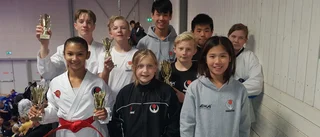 Karateklubben tog elva medaljer