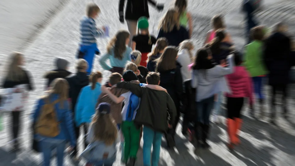 Varje individ ser en försumbar effekt av att göra något vilket skapar sociala dilemman, skriver artikelförfattarna.
