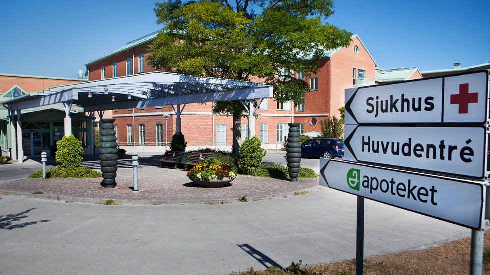 29-åringen misstänks ha mördat sin ex-flickvän i Kalix.
