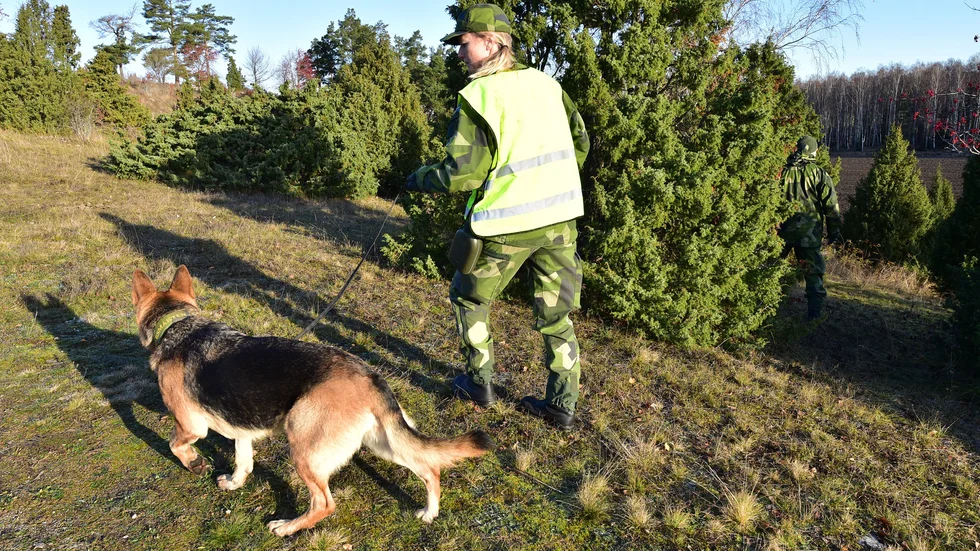 Personal från hemvärnet söker efter försvunna Margaretha i Kjula.