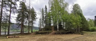 Plundringsgropar hittade på Selholmen