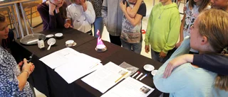 Kemiexperiment på schemat i Endre skola