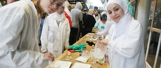 Experimentell skoldag på schemat 