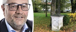 Gotlandshems styrelse pausar bygget i Slite